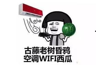 瓜老板热门梗,揭秘网络爆笑背后的故事
