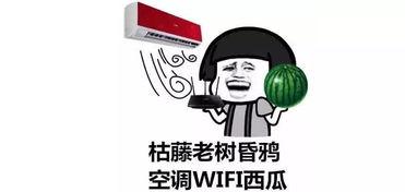 吃瓜热门最新消息是什么,揭秘娱乐圈最新劲爆事件！