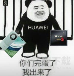 抖音热门梗瓜六的由来,揭秘网络热梗背后的趣味与智慧