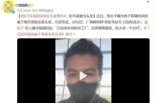明星网红回应事件视频,真相大白，还原事件始末