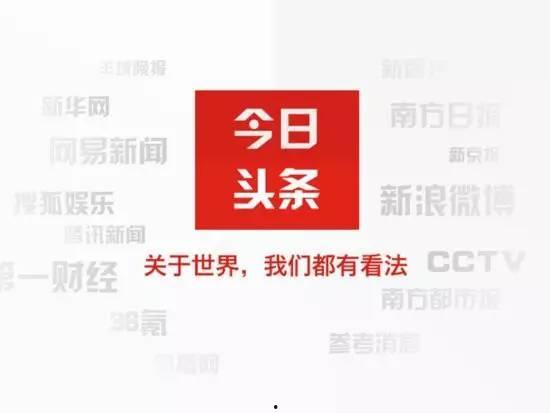 今日头条小呆瓜,今日头条的萌宠新宠，带你领略趣味生活