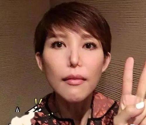 社会明星网红有哪些,盘点当下热门社会明星网红
