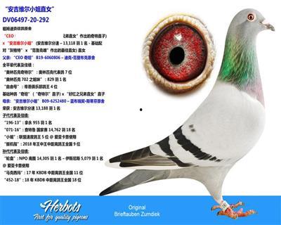 西安w 明星网红医院,揭秘网红打卡地的医疗魅力