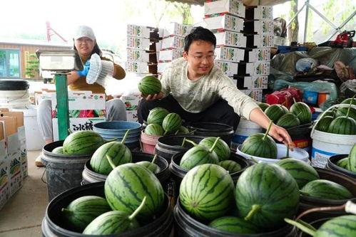 天津4s吃瓜爆料事件,揭秘汽车销售行业潜规则