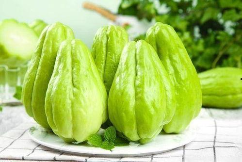 今日佛手瓜尖价格,市场动态一览”