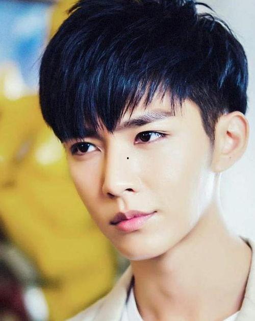 明星网红男生大全图片,全网热捧的明星网红男生大盘点