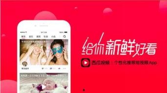 今日头条买瓜视频,揭秘网红带货背后的真相