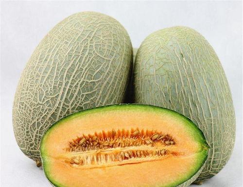 哈密瓜热门文案,探寻瓜中珍品的多重魅力