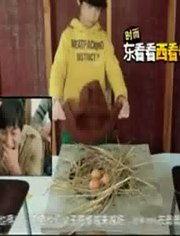 明星网红娱乐视频大全,网红娱乐盛宴大盘点