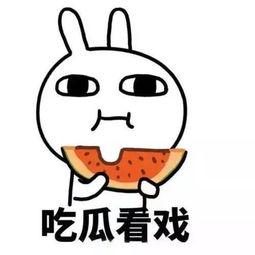 51吃瓜热门吃瓜婊,揭秘吃瓜婊的幕后真相