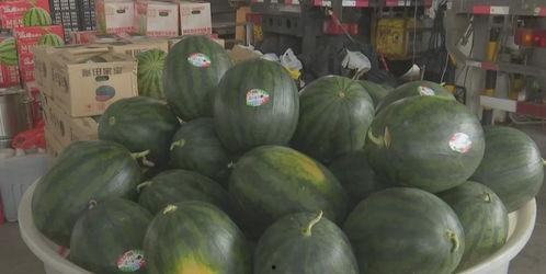 近期热门吃瓜照片