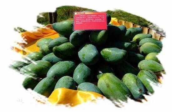 长垣吃瓜热门抖音号,揭秘当地美食文化新潮流