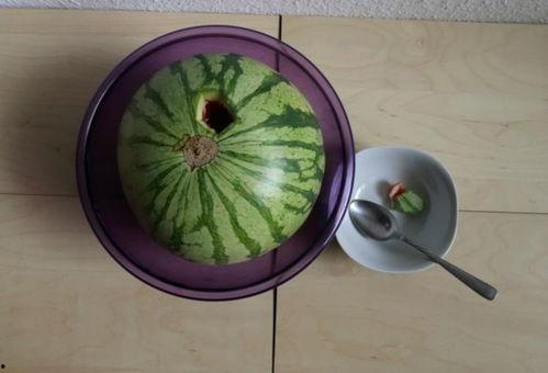 近期热门吃瓜国外,揭秘近期热门“吃瓜”话题