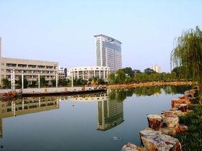 新华学院麻涌最热门瓜,揭秘最热门瓜背后的真相