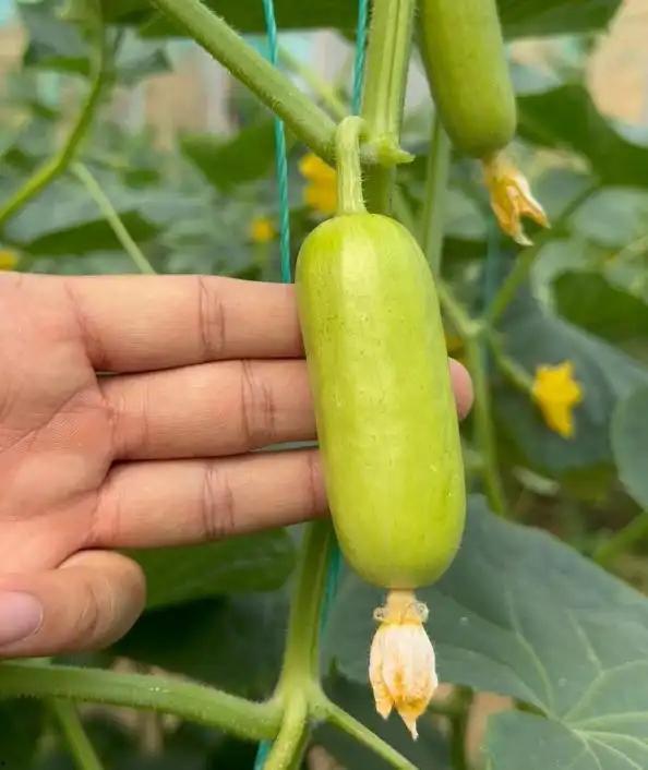 热门新鲜瓜,明星们的秘密生活大揭秘！