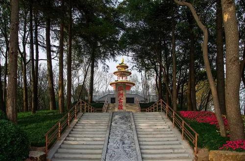 上热门瓜洲古渡公园,千年渡口的历史足迹与自然风光交融之旅