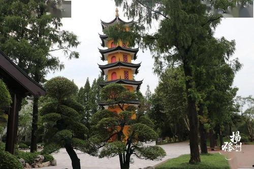 上热门瓜洲古渡公园,千年渡口的历史足迹与自然风光交融之旅