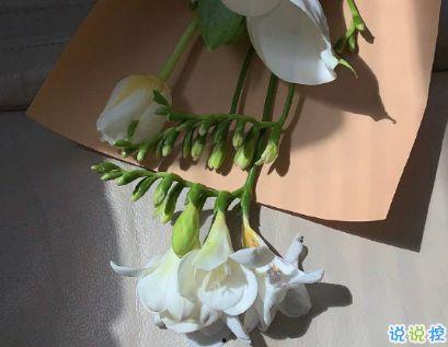 抖音比较热门的瓜