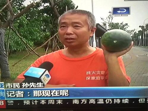 吃瓜网络热门事件是真的吗,真相还是谣言？