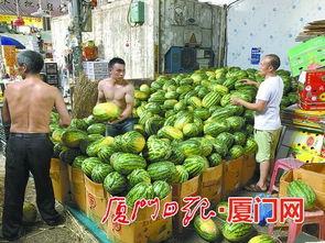 最近学校热门瓜,揭秘近期校园热门瓜之真相揭晓