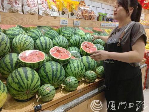 瓢瓜今日价格最新行情,价格波动解析与市场趋势洞察