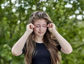 明星网红小袋鼠,网红明星的崛起之路