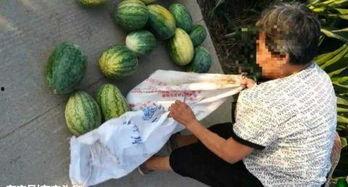 桐乡近期热门吃瓜事件,揭秘近期热门吃瓜事件背后的真相