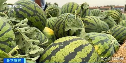 戚佳丽热门吃瓜