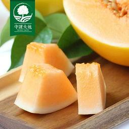 海沙蜜瓜今日价格