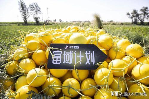 抖音热门大瓜黑料,真相与争议并存