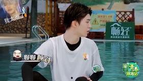 吃瓜娱乐圈杨迪是谁的,娱乐圈吃瓜达人，揭秘明星幕后故事