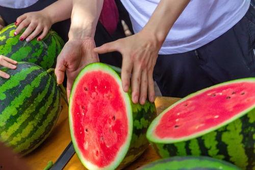 今日辛集吃瓜视频最新,揭秘今日热门事件幕后真相
