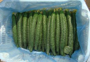 今日兰瓜价格最新行情,最新行情解析与市场趋势洞察”