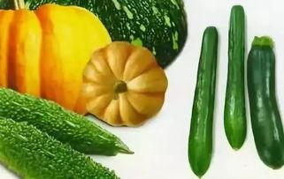 吃瓜爆料常用工具是什么,常用工具大盘点