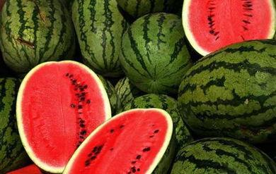 瓜哥热门大瓜奇趣百科,奇趣百科里的爆笑瞬间