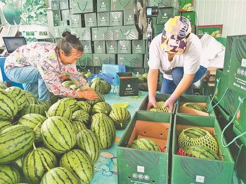 近两年热门大瓜,揭秘明星背后的秘密与风波