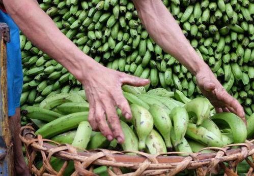 近两年热门大瓜,揭秘明星背后的秘密与风波