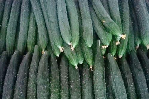 近两年热门大瓜,揭秘明星背后的秘密与风波