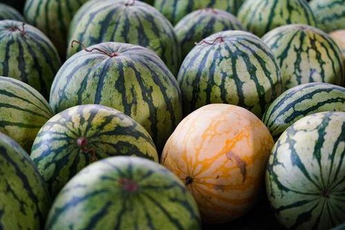 浙江热门吃瓜事件