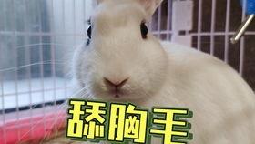 抖音吃瓜婴儿热门事件,揭秘网络热点的背后真相