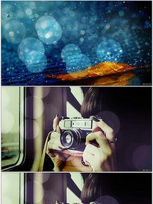 明星网红整合视频素材