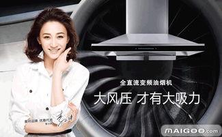 明星网红代言体育品牌,体育品牌焕新形象