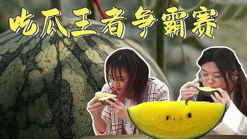 吃瓜今日大赛在线观看,在线观看，畅享欢乐盛宴