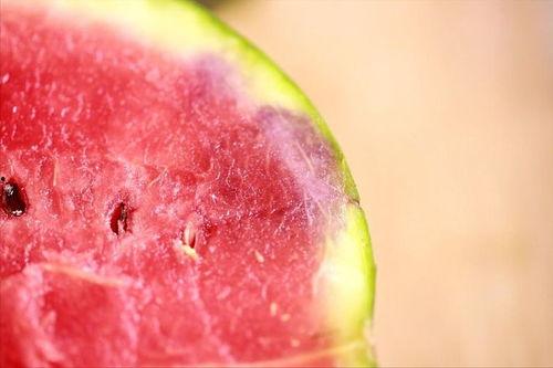 今日吃瓜上不去了,网络拥堵背后的真相揭秘