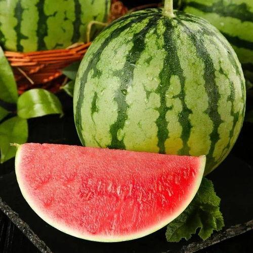 热门摘瓜音乐叫什么,旋律动听，夏日炎炎里的清凉旋律