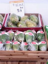 今日晒晒我的瓜,晒晒我的瓜，揭秘娱乐圈最新热点