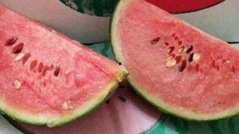 海南今日日本瓜价格,新鲜直供，品质优价实惠